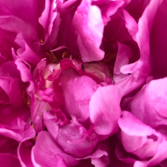 Meet your Posher, Lynn - Picture 1 of 1